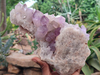 Natural Jacaranda Amethyst Quartz Clusters x 2 from Mumbwa, Zambia