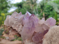 Natural Jacaranda Amethyst Quartz Clusters x 2 from Mumbwa, Zambia