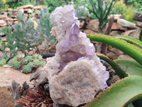 Natural Jacaranda Amethyst Quartz Clusters x 2 from Mumbwa, Zambia