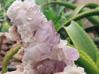 Natural Jacaranda Amethyst Quartz Clusters x 2 from Mumbwa, Zambia