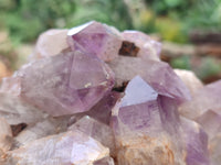 Natural Jacaranda Amethyst Quartz Clusters x 2 from Mumbwa, Zambia