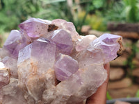 Natural Jacaranda Amethyst Quartz Clusters x 2 from Mumbwa, Zambia