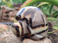 Hand Made Septerye Tortoise Carvings x 4 From Madagascar