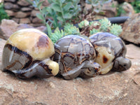 Hand Made Septerye Tortoise Carvings x 4 From Madagascar