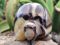 Hand Made Septerye Tortoise Carvings x 4 From Madagascar