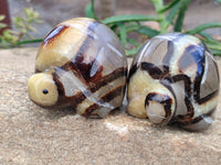 Hand Made Septerye Tortoise Carvings x 4 From Madagascar