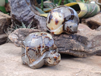 Hand Made Septerye Tortoise Carvings x 4 From Madagascar