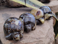 Hand Made Septerye Tortoise Carvings x 4 From Madagascar