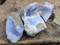 Natural Blue Lace Agate Geode Specimens x 35 From Malawi