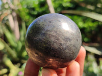 Polished Pharaoh Stone Spheres x 3 From Zimbabwe