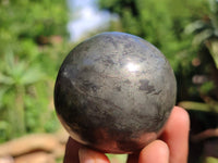 Polished Pharaoh Stone Spheres x 3 From Zimbabwe