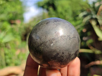 Polished Pharaoh Stone Spheres x 3 From Zimbabwe