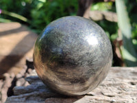 Polished Pharaoh Stone Spheres x 3 From Zimbabwe