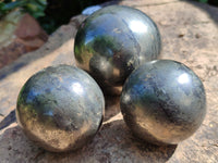 Polished Pharaoh Stone Spheres x 3 From Zimbabwe