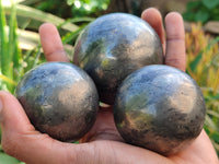 Polished Pharaoh Stone Spheres x 3 From Zimbabwe