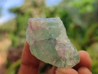 Natural Watermelon Fluorite Cobbed Specimens x 3 Kg Lot From Uis, Namibia