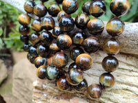 Polished Blue and Gold Tigers Eye Bead Necklaces - Sold Per Item - From South Africa