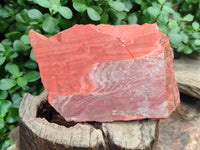 Natural Red Jasper Specimens x 2 From South Africa