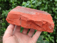 Natural Red Jasper Specimens x 2 From South Africa