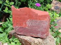 Natural Red Jasper Specimens x 2 From South Africa