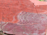 Natural Red Jasper Specimens x 2 From South Africa