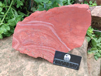 Natural Red Jasper Specimens x 2 From South Africa