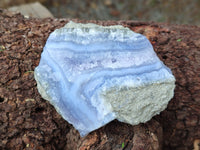 Natural Blue Lace Agate Geode Specimens x 12 From Malawi