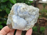 Natural Blue Lace Agate Geode Specimens x 12 From Malawi