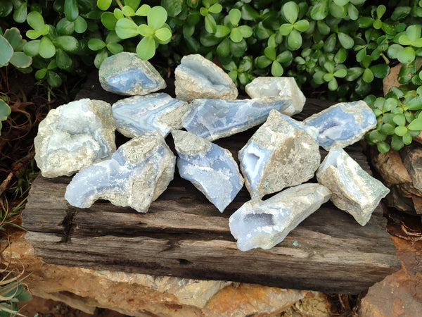 Natural Blue Lace Agate Geode Specimens x 12 From Malawi