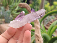 Natural Chiredzi Amethyst Conglomerate Specimens x 14 From Chiredzi, Zimbabwe