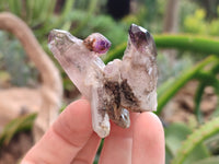 Natural Chiredzi Amethyst Conglomerate Specimens x 14 From Chiredzi, Zimbabwe