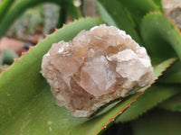 Natural Spirit Quartz Clusters x 12 From Boekenhouthoek, South Africa