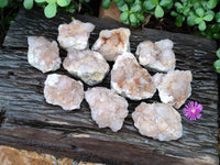 Natural Spirit Quartz Clusters x 12 From Boekenhouthoek, South Africa