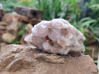 Natural Spirit Quartz Clusters x 12 From Boekenhouthoek, South Africa