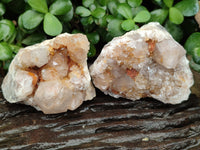 Natural Spirit Quartz Clusters x 12 From Boekenhouthoek, South Africa