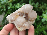 Natural Spirit Quartz Clusters x 12 From Boekenhouthoek, South Africa