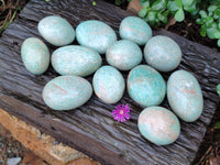 Polished Amazonite Free Forms x 12 From Zimbabwe