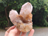 Natural Red Hematoid Quartz Clusters x 3 From Karoi, Zimbabwe