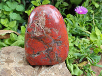 Polished Red Jasper Standing Free Forms x 2 From Madagascar