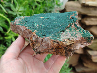 Natural Botryoidal Malachite Specimens x 2 From Tenke Fungurume, Congo