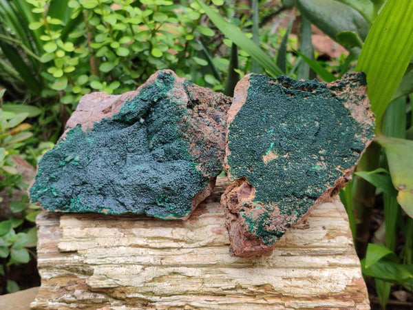 Natural Botryoidal Malachite Specimens x 2 From Tenke Fungurume, Congo