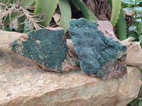 Natural Botryoidal Malachite Specimens x 2 From Tenke Fungurume, Congo