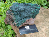 Natural Botryoidal Malachite Specimens x 2 From Tenke Fungurume, Congo