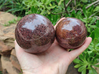 Polished Pyrope Garnet Spheres x 2 From Madagascar