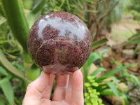 Polished Pyrope Garnet Spheres x 2 From Madagascar