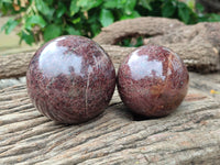 Polished Pyrope Garnet Spheres x 2 From Madagascar