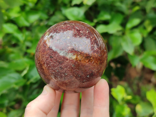 Polished Pyrope Garnet Spheres x 2 From Madagascar