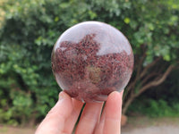 Polished Pyrope Garnet Spheres x 2 From Madagascar