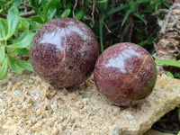 Polished Pyrope Garnet Spheres x 2 From Madagascar