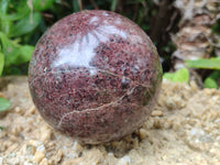 Polished Pyrope Garnet Spheres x 2 From Madagascar